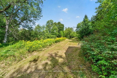 2452 Henderson Road • Barry's Bay, ON photo 9