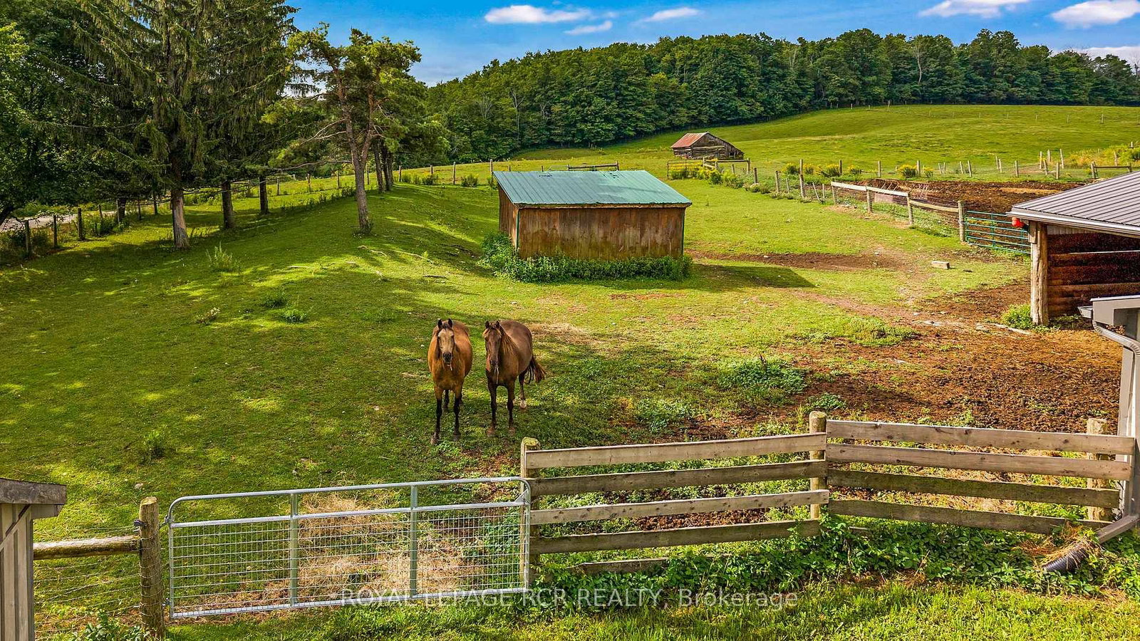 716300 1st Line E Acres • Mulmur, ON photo 16