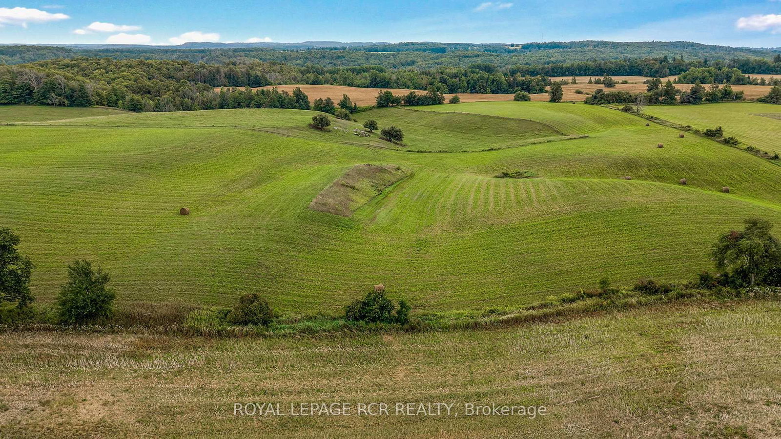 716300 1st Line E Acres • Mulmur, ON photo 8