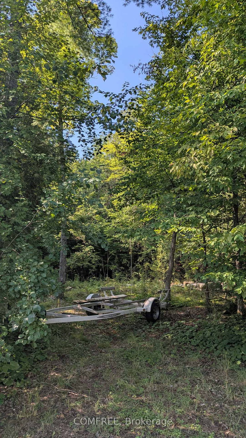 4859 Opeongo Road