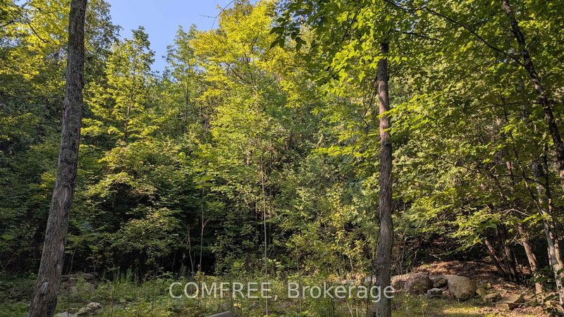 4859 Opeongo Road
