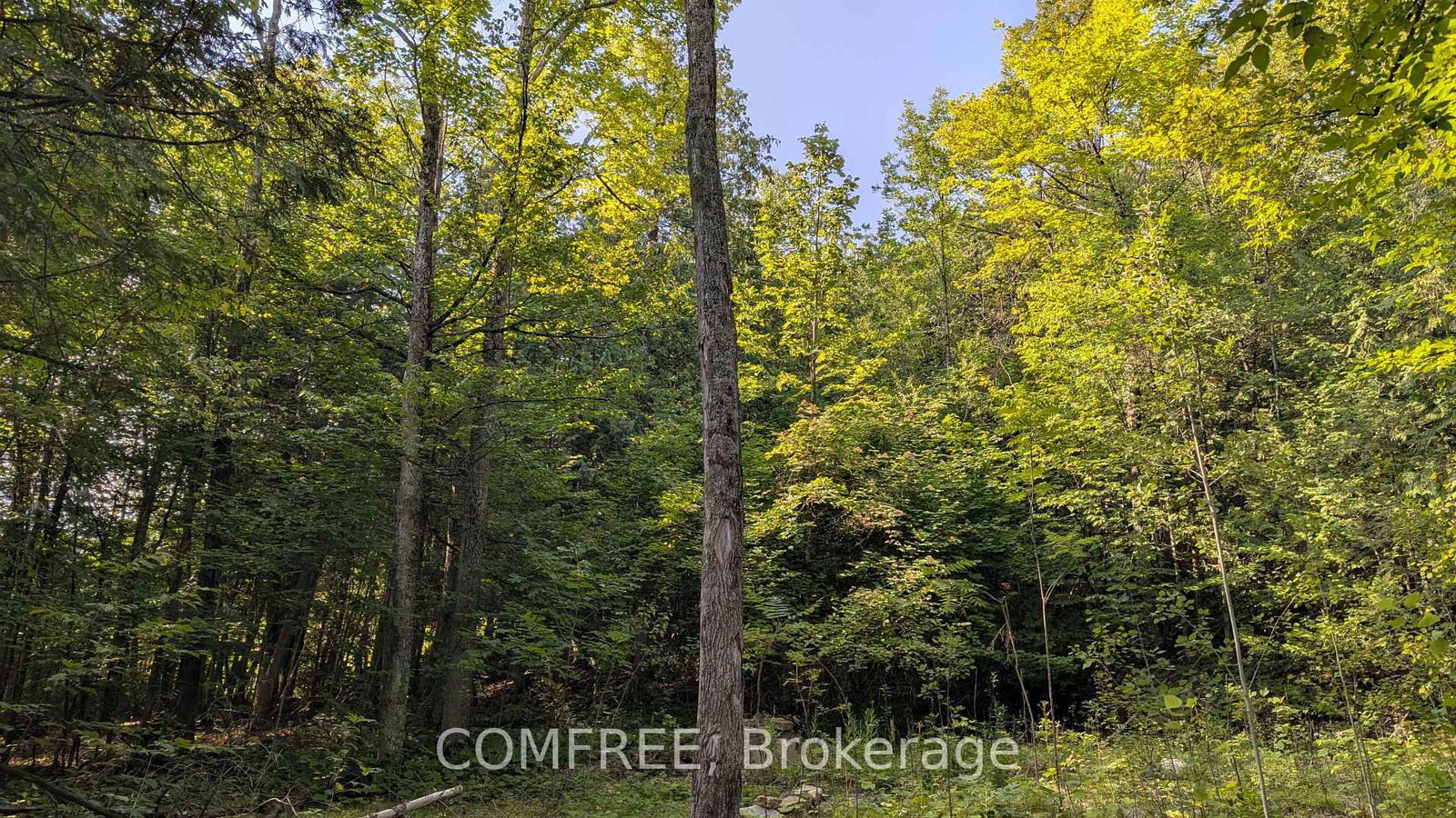 4859 Opeongo Road • Ottawa, ON photo 5