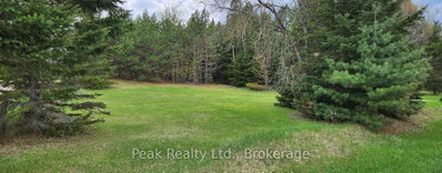 0 Matawatchan Road • Snow Road Station, ON photo 3