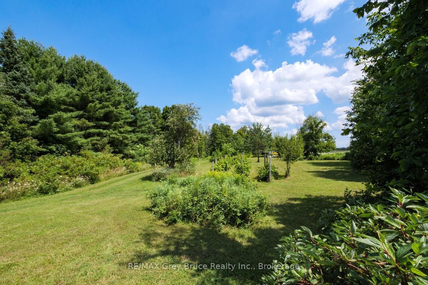 501306 Grey 1 Road • Georgian Bluffs, ON photo 38