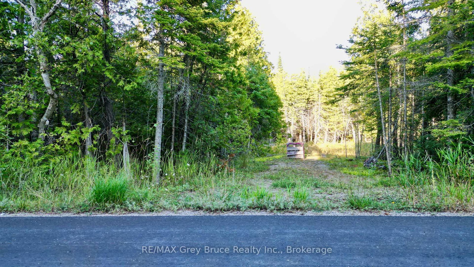8 Devils Glen • Northern Bruce Peninsula, ON photo 1