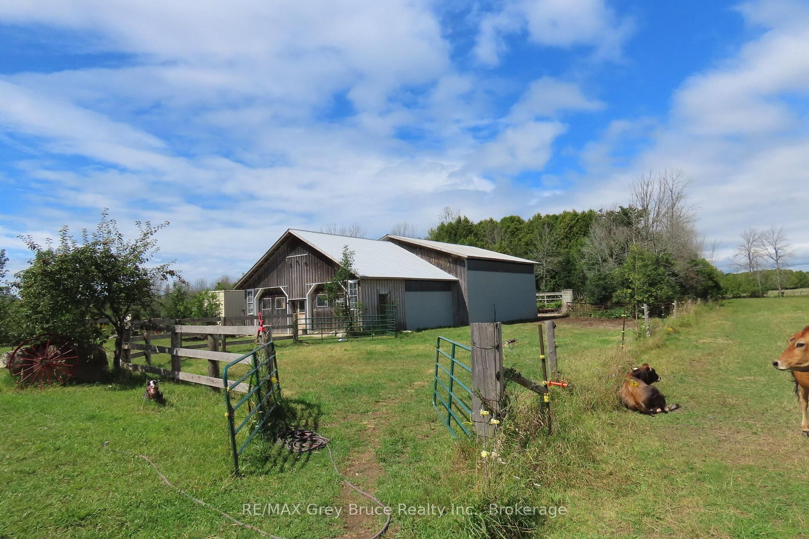 649 The Bury Road • Northern Bruce Peninsula, ON photo 13