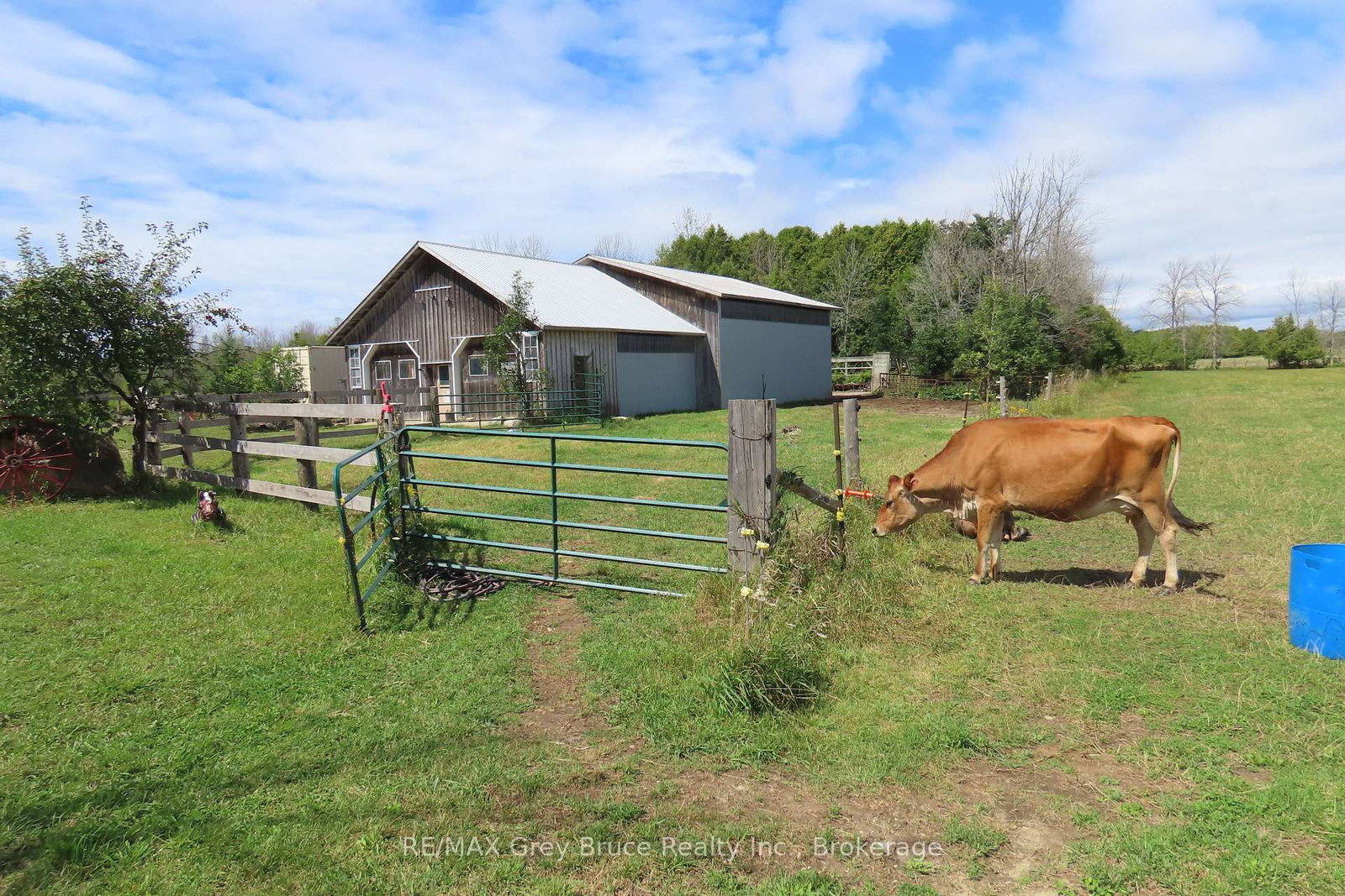 649 The Bury Road • Northern Bruce Peninsula, ON photo 14
