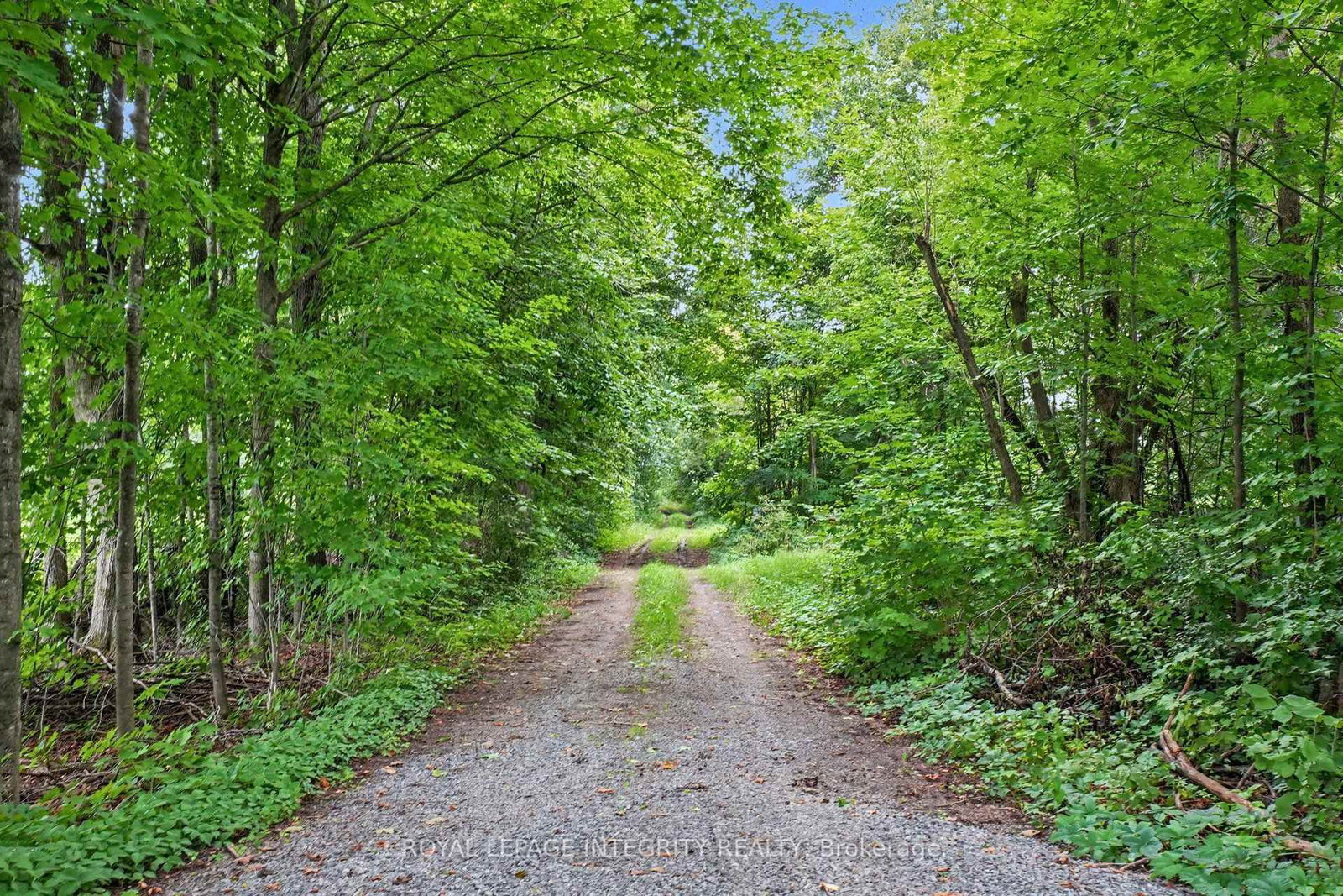 6417 Bowrin Road • Richmond, ON photo 15