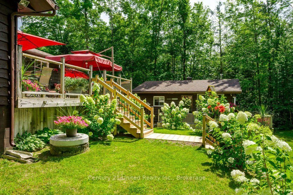 41 Hall Crescent • Trent Lakes, ON photo 48