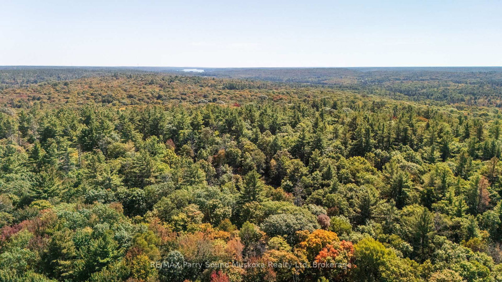 72 McCauley Road • Seguin, ON photo 11