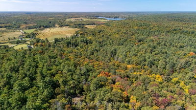 72 McCauley Road • Seguin, ON photo 8