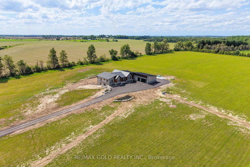 554068 Mono Amaranth Townline