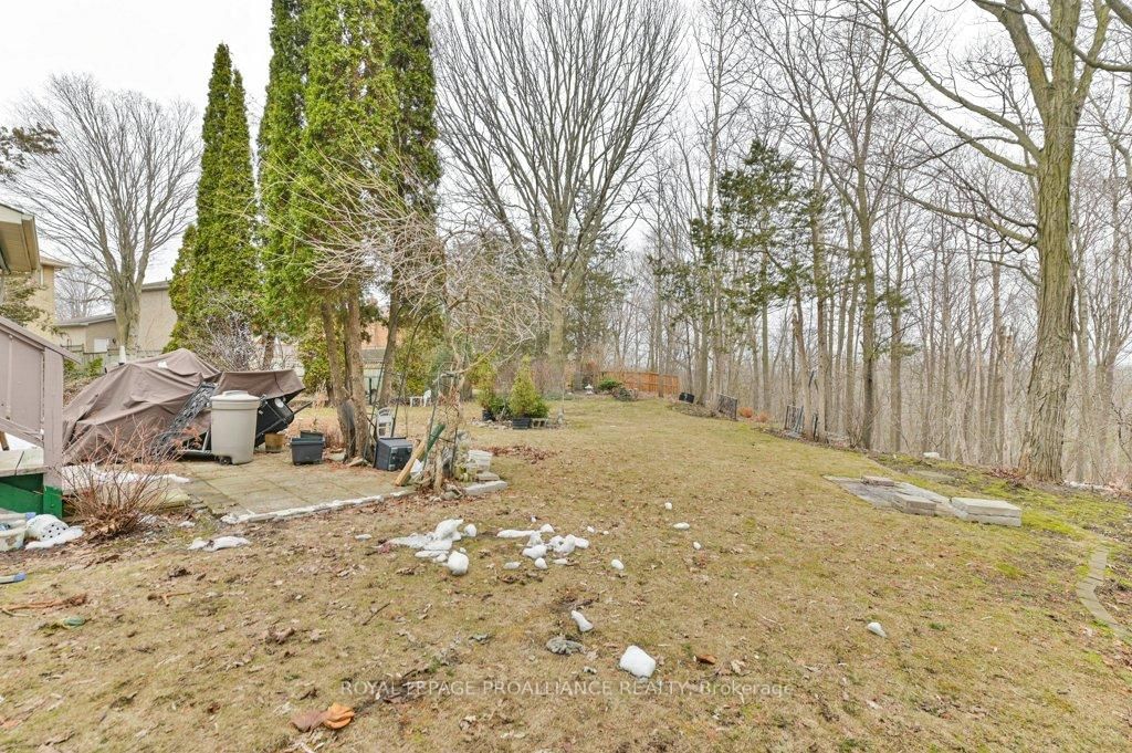 Listing Image 43