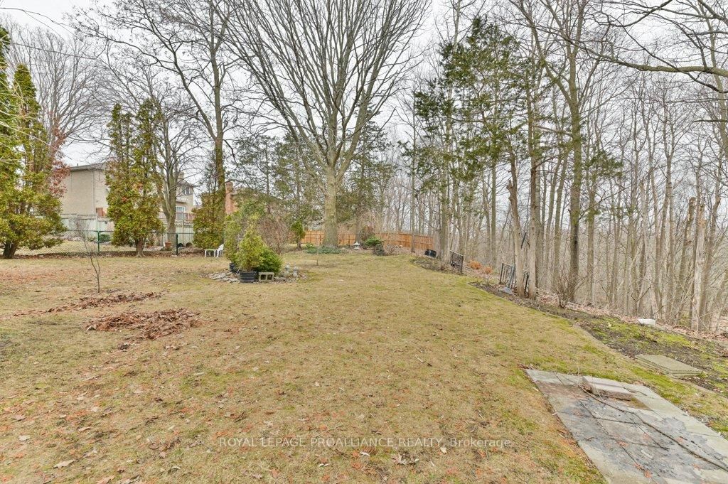 Listing Image 44