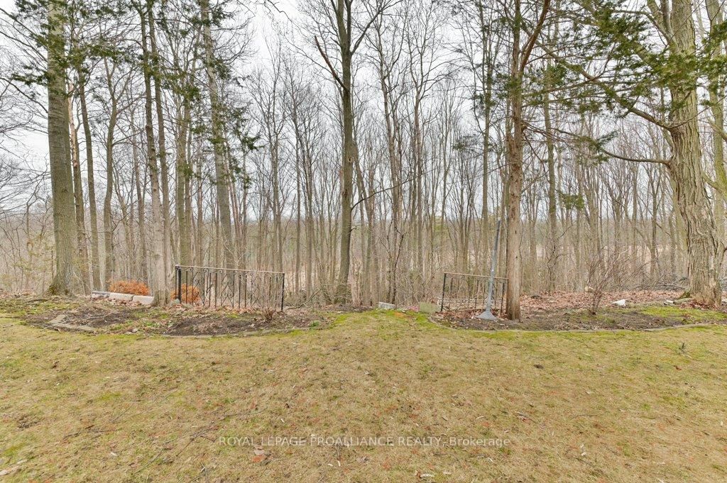 Listing Image 46