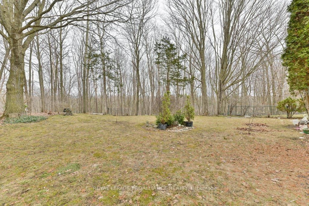 Listing Image 49