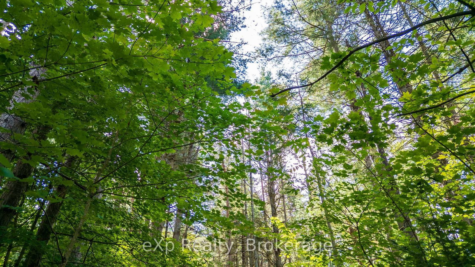 7 McMullen Drive • Perry, ON photo 30