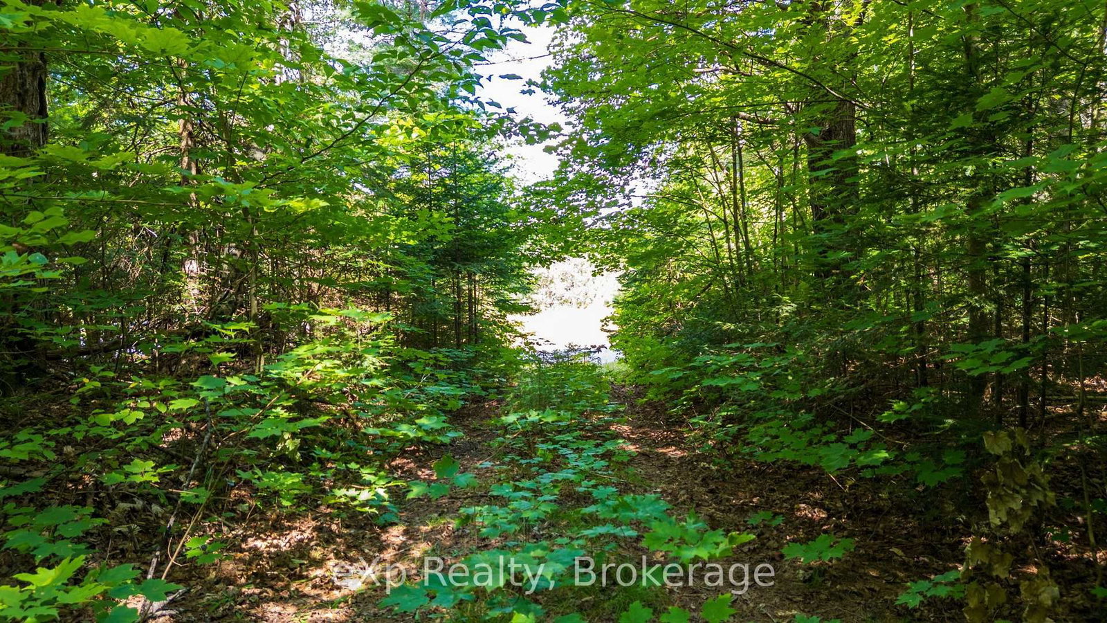 7 McMullen Drive • Perry, ON photo 32