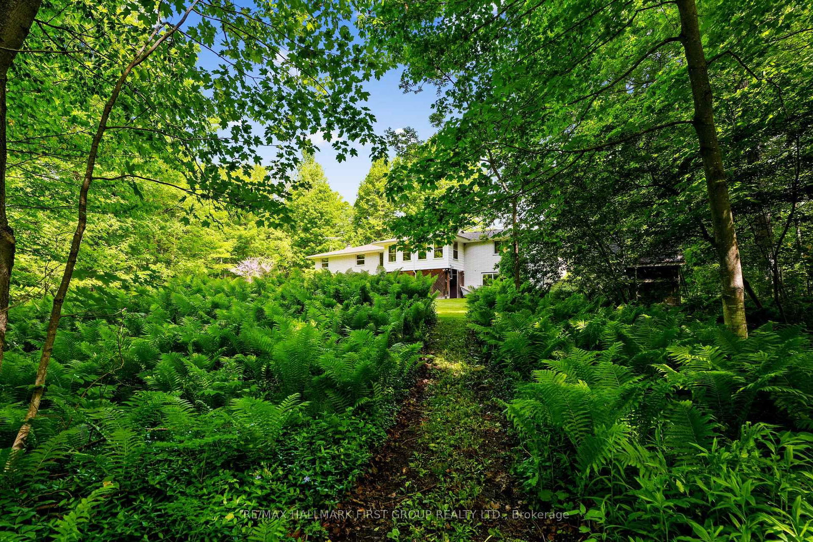 452 Gully Road • Alnwick/Haldimand, ON photo 46
