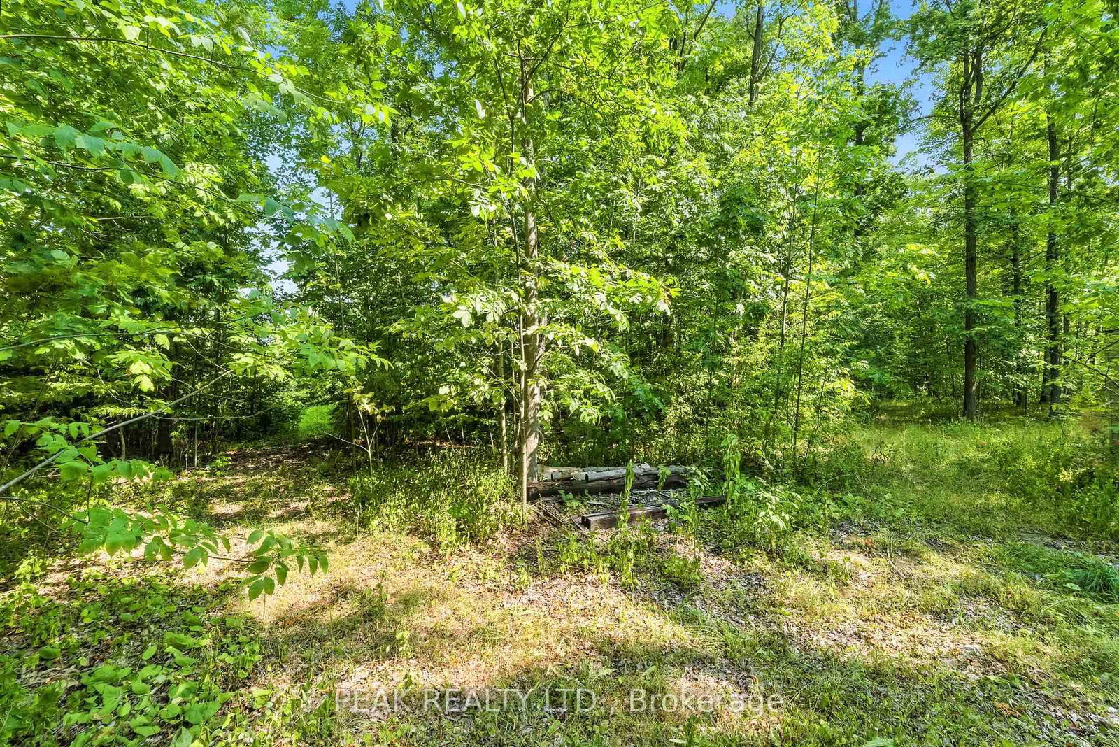 1849 Fry Road • Prince Edward County, ON photo 21