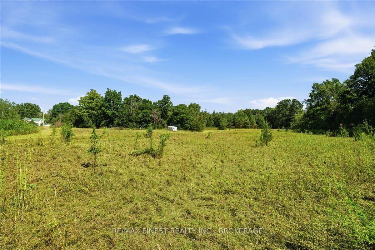 0 Mudcat Road • Quinte West, ON photo 15
