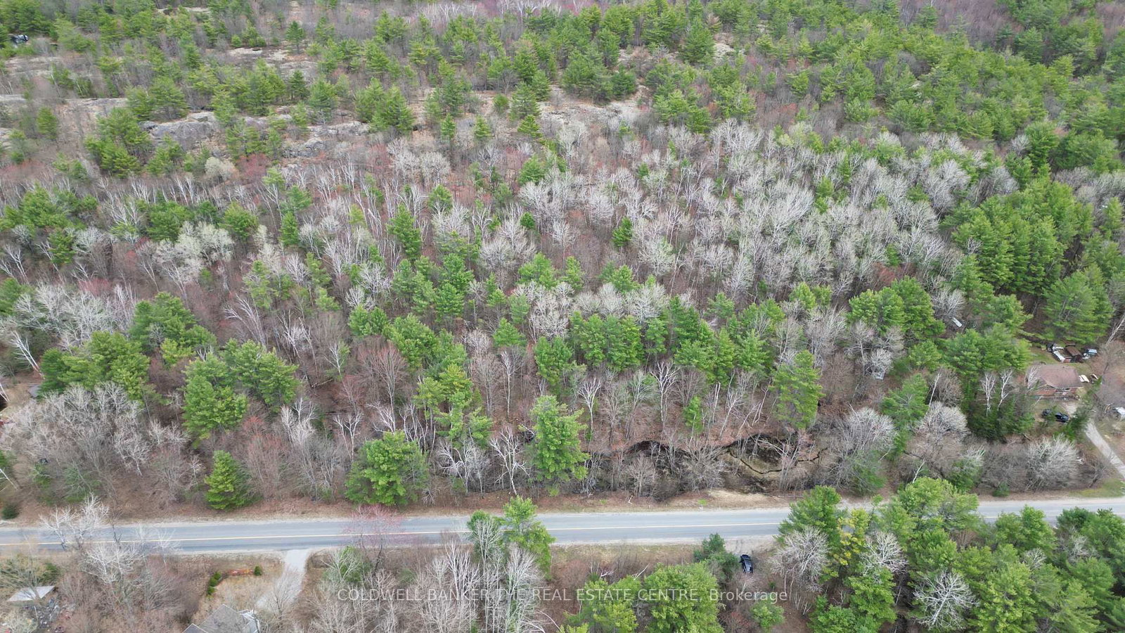 2493 Housey's Rapids Road • Kawartha Lakes, ON photo 14