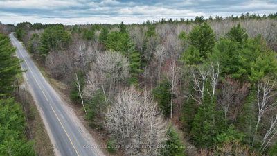 2493 Housey's Rapids Road • Kawartha Lakes, ON photo 8
