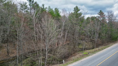 2493 Housey's Rapids Road • Kawartha Lakes, ON photo 9