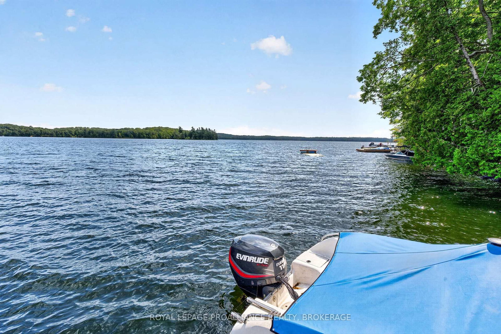 110 Maple Grove Crescent • Tichborne, ON photo 45