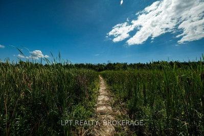 4404 Unity Road • Bissett Creek, ON photo 5