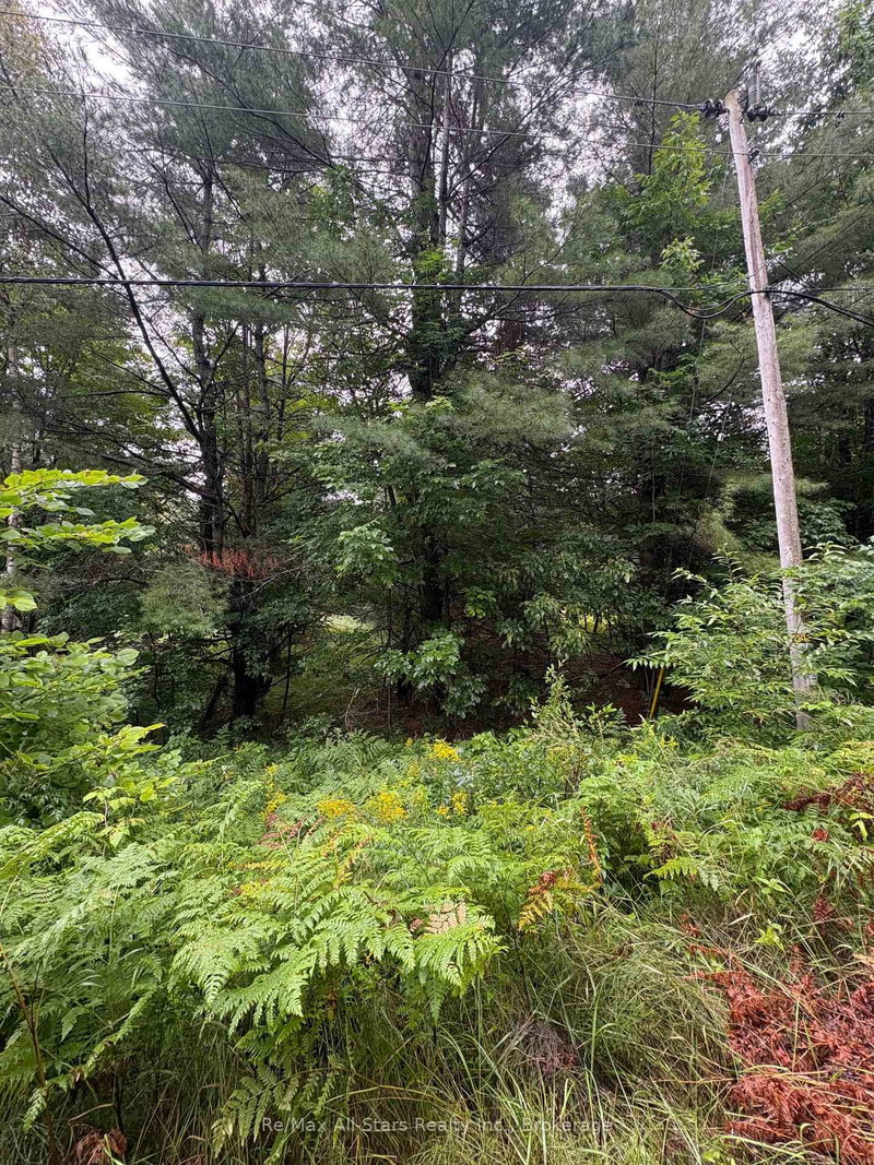 968 North Mary Lake Road