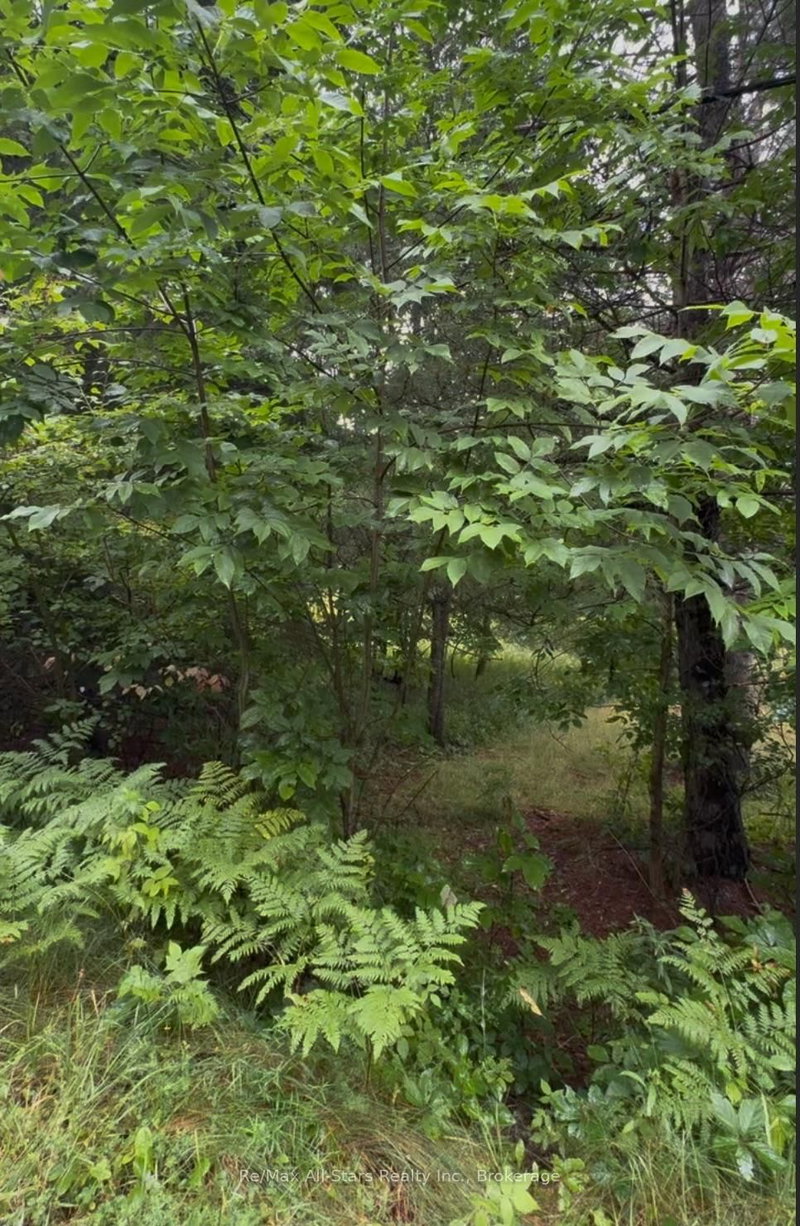 958 North Mary Lake Road