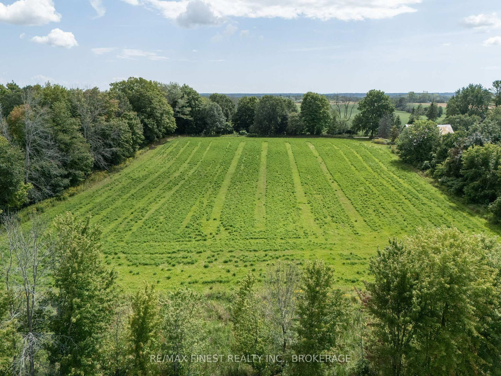 43 Clancy Road • Newburgh, ON photo 43