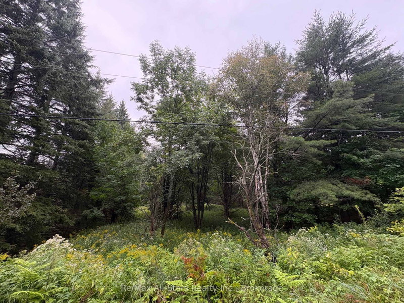 964 North Mary Lake Road