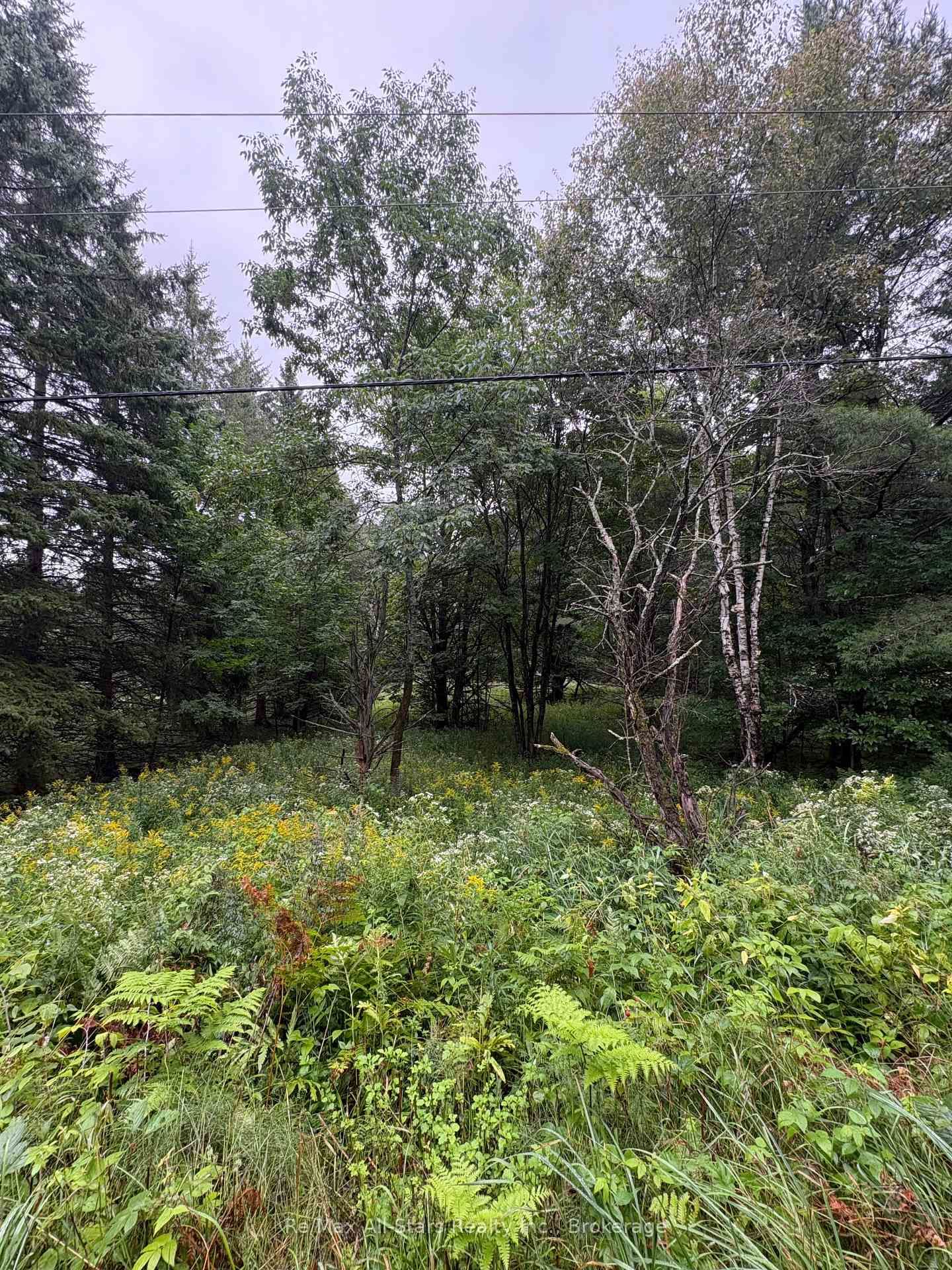 964 North Mary Lake Road • Huntsville, ON photo 5