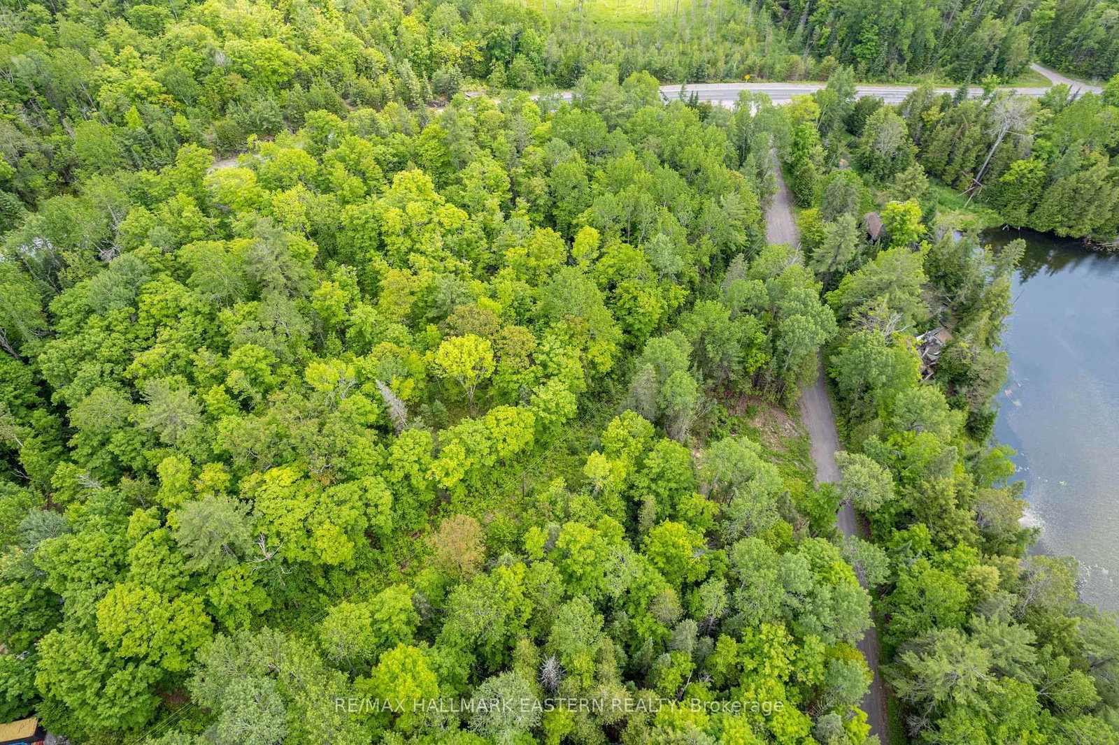 00 Johnson Road • North Kawartha, ON photo 11