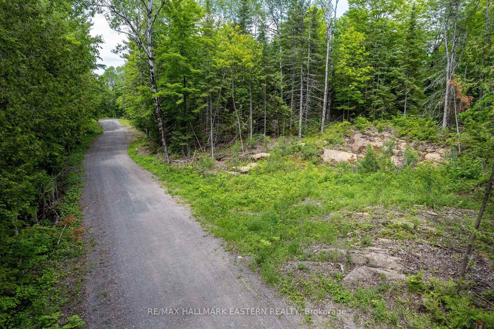 00 Johnson Road • North Kawartha, ON photo 6