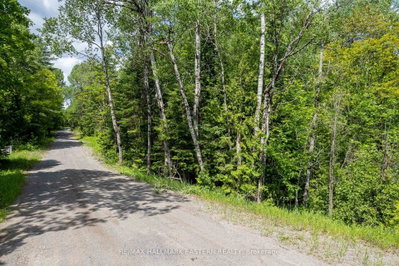 00 Johnson Road • North Kawartha, ON photo 7