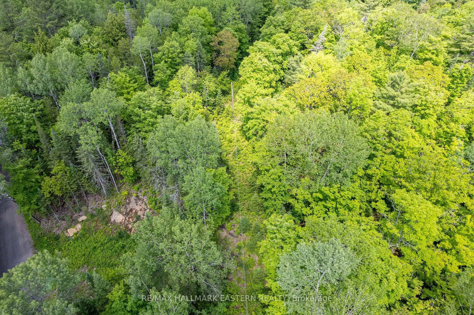 00 Johnson Road • North Kawartha, ON photo 9