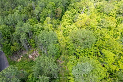 00 Johnson Road • North Kawartha, ON photo 9