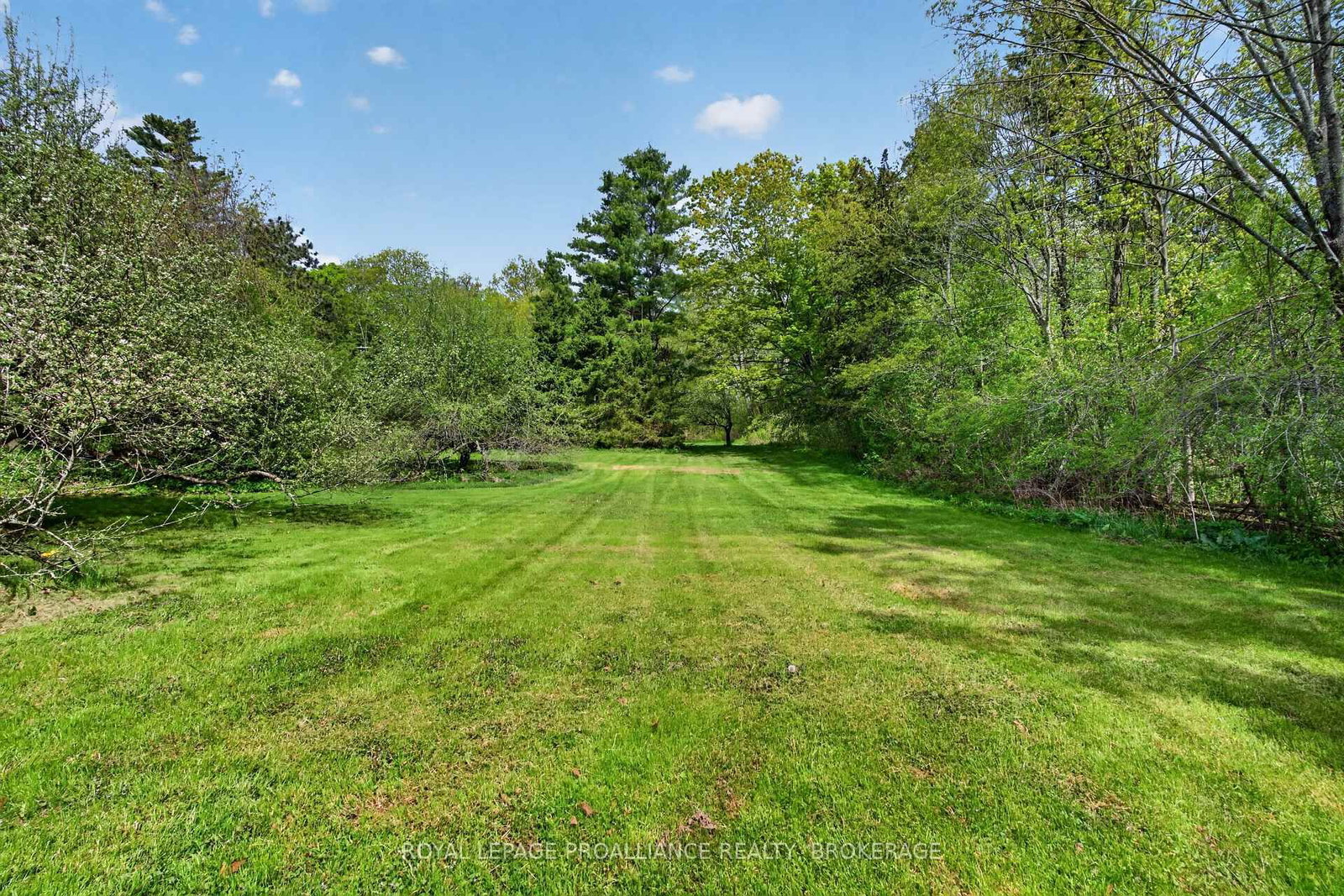 1295 Highway 2 • Kingston, ON photo 30