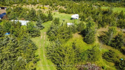 2098 13th Line E • Trent Hills, ON photo 6