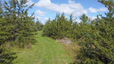 2098 13th Line E • Trent Hills, ON photo 7