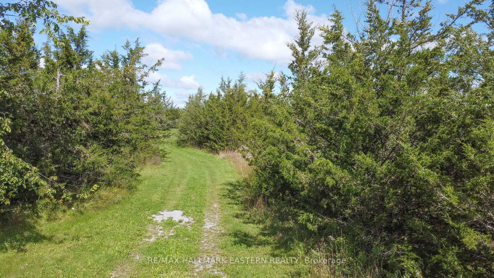 2098 13th Line E • Trent Hills, ON photo 8