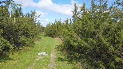 2098 13th Line E • Trent Hills, ON photo 8