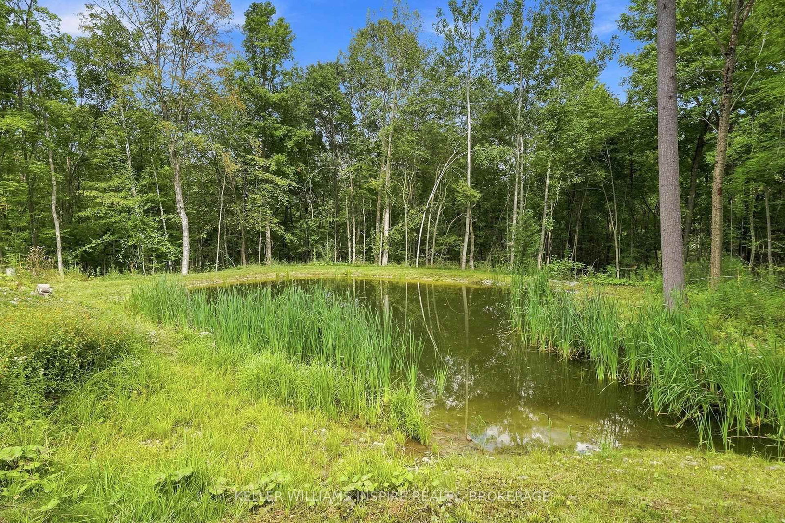 866 Godolphin Road • Trent Hills, ON photo 39
