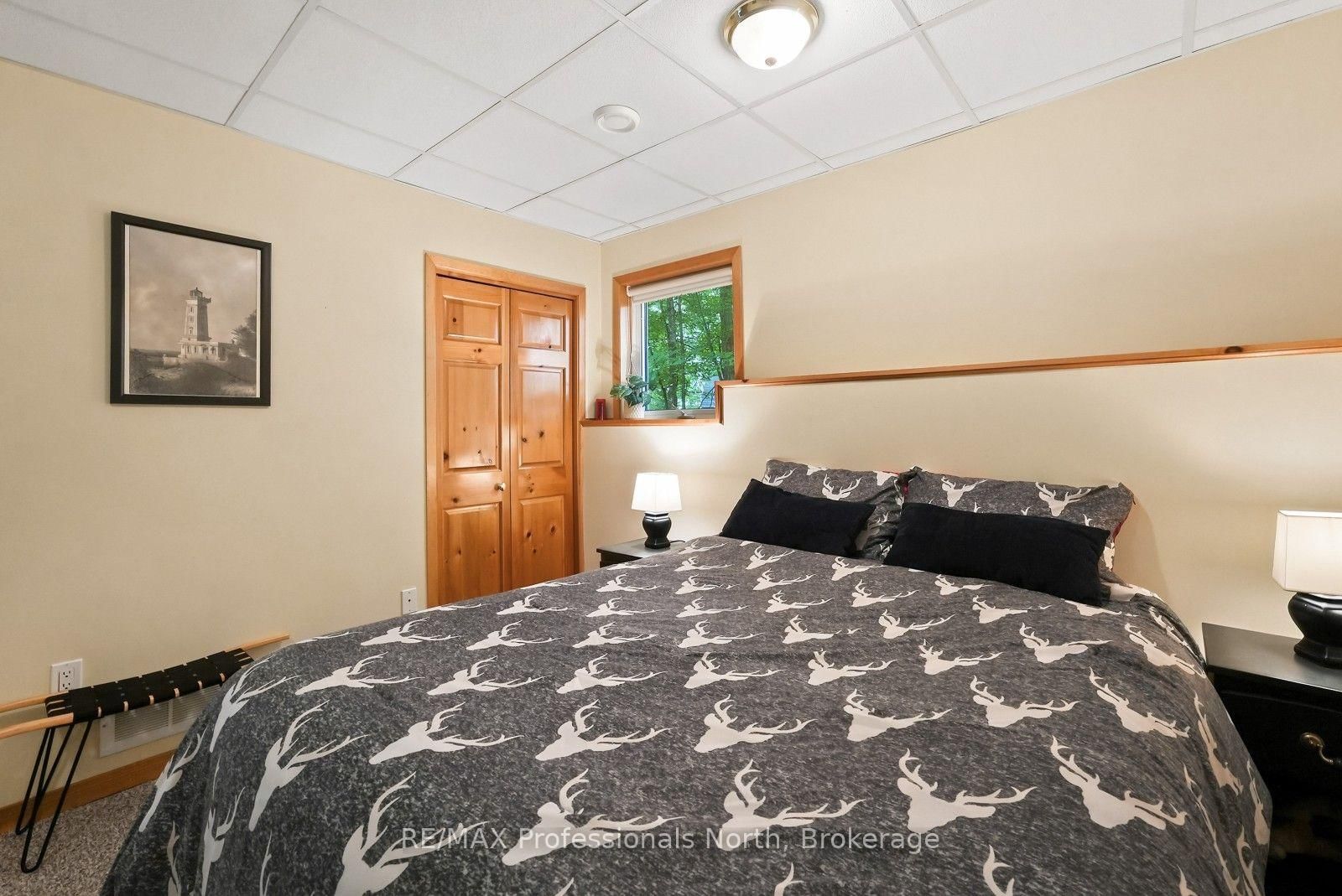 202 Sunnyside Street • Dysart et al, ON photo 31