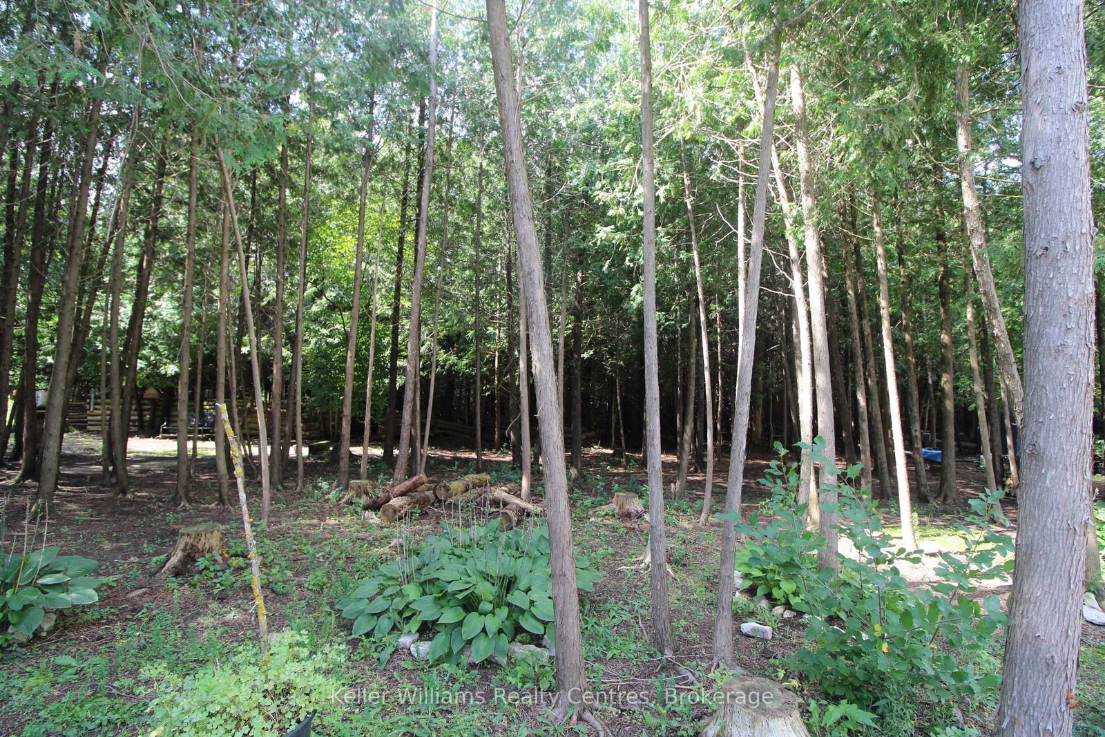 600 25th Avenue • Hanover, ON photo 6