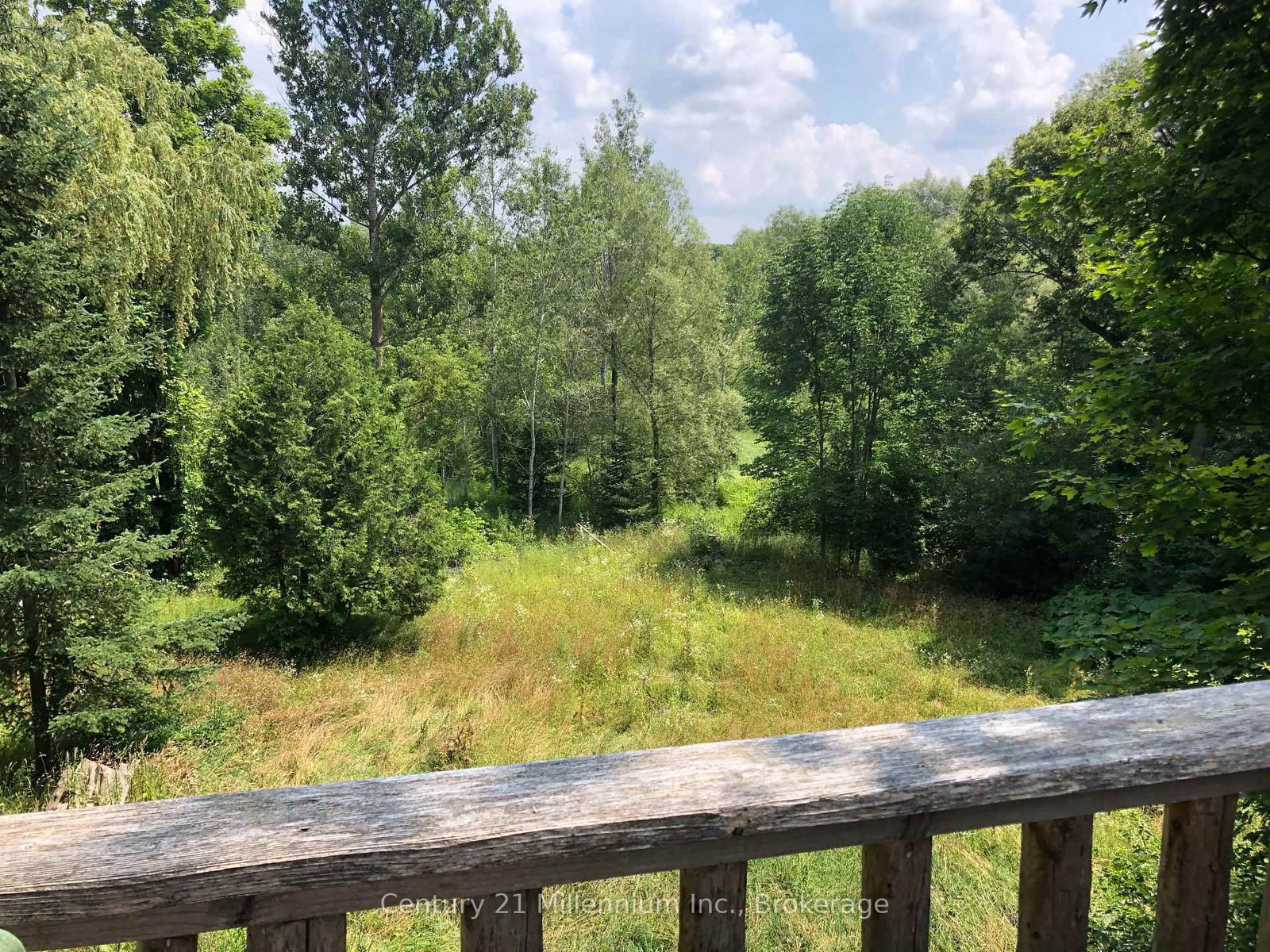 415877 Tenth Line • Blue Mountains, ON photo 31