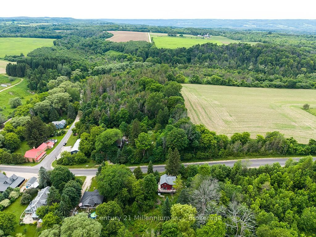 415877 Tenth Line • Blue Mountains, ON photo 34